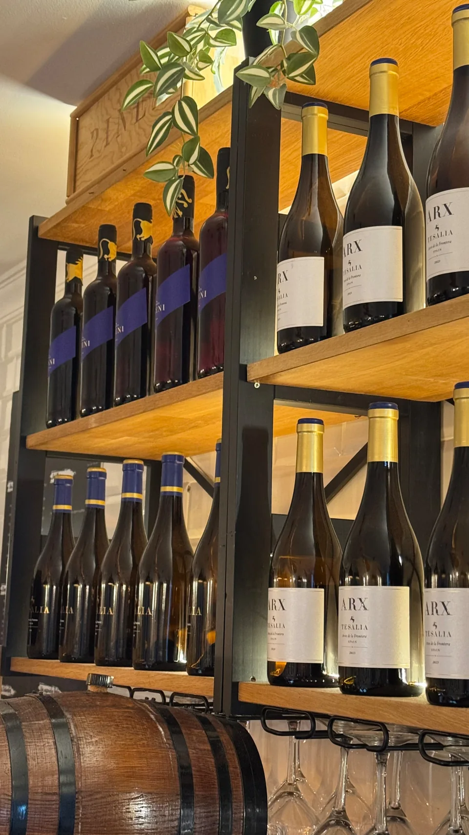 Estanterías con botellas de vino de la bodega